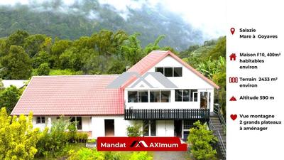 Maison - 400 m² - 10 pièces