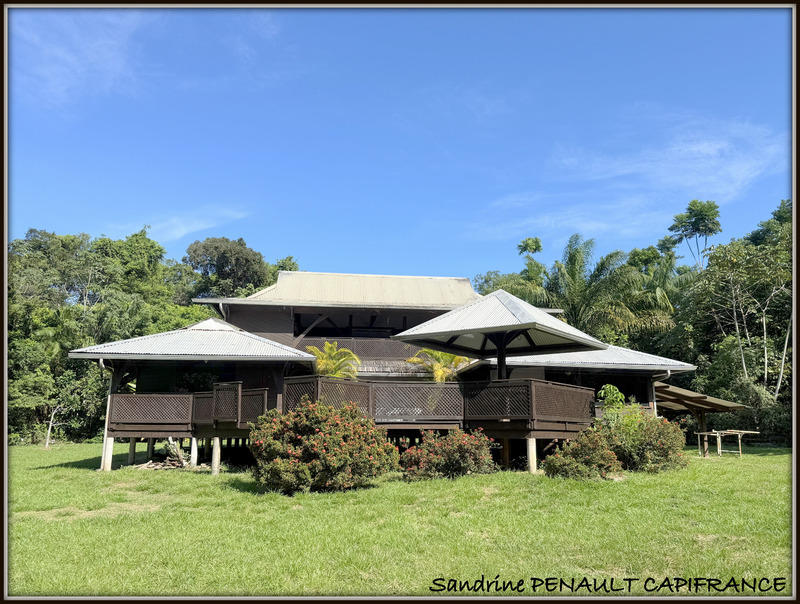 Maison de bois - 268 m² - 5 pièces