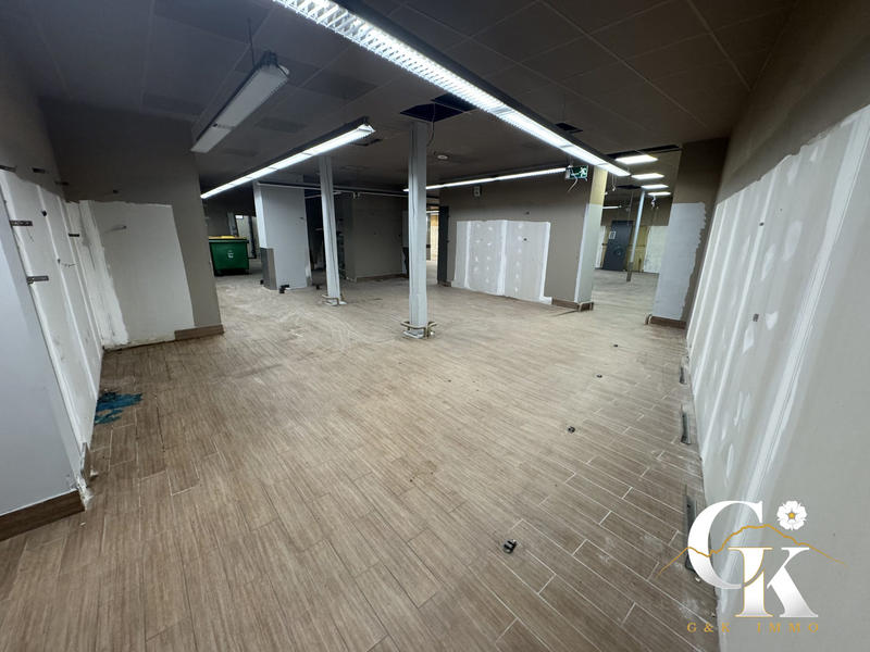 Local commercial - 1 172 m² - 11 pièces