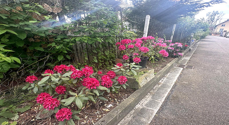 Maison de maîtres - 320 m² - 6 pièces