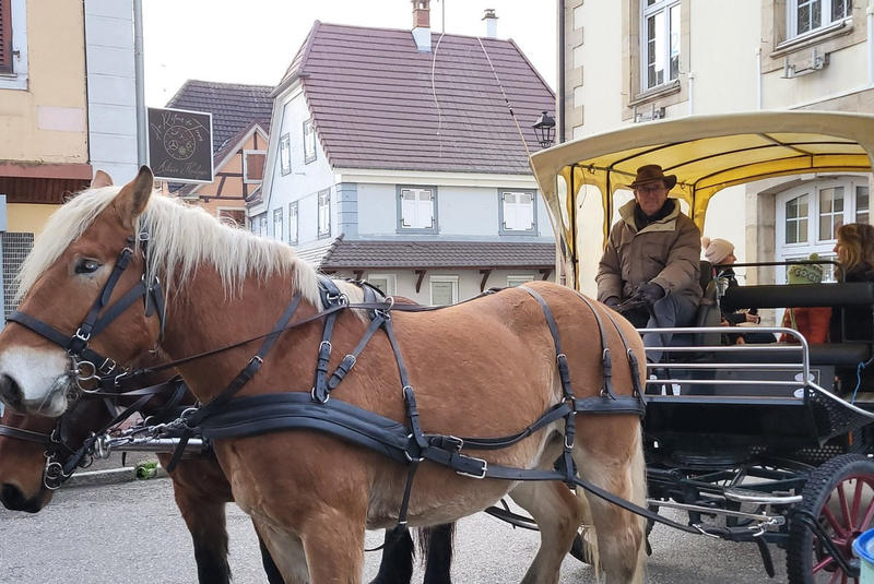 Marché de Noël de Dannemarie