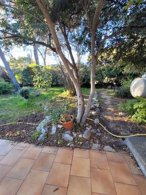 Maison - 33 m² - 1 pièce