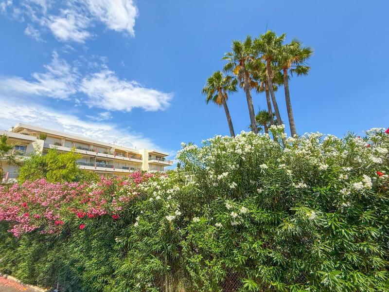 Appartement - 28 m² - 2 pièces