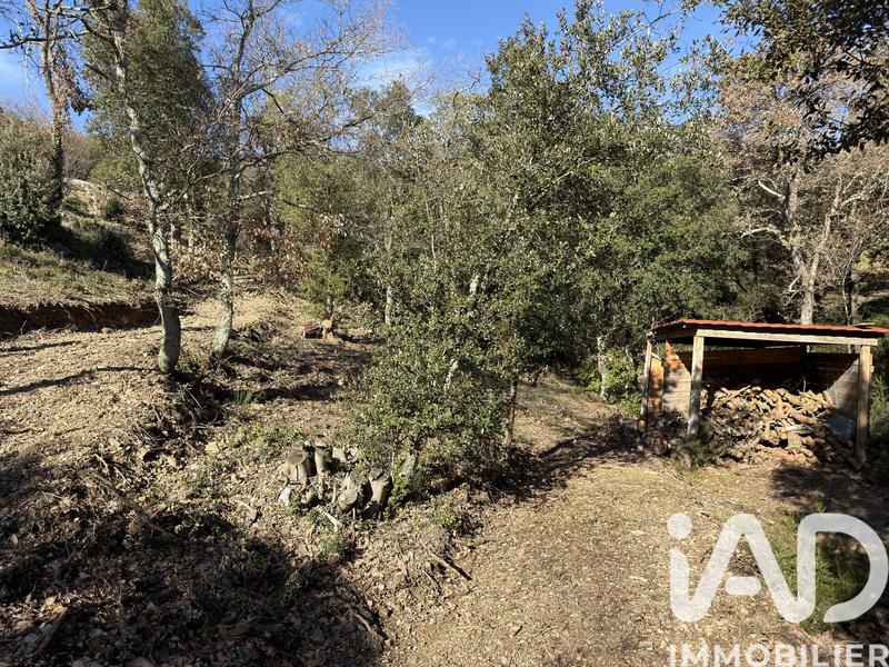 Maison - 142 m² - 5 pièces