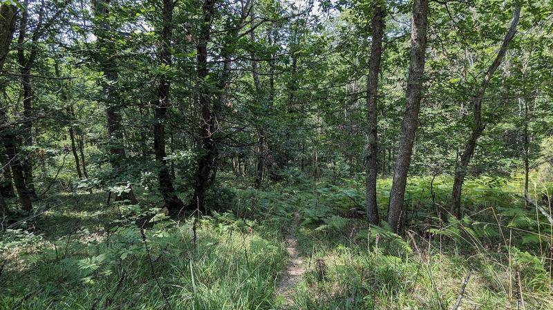 Terrain inconstructible - 38 528 m²