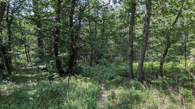 Terrain inconstructible - 38 528 m²