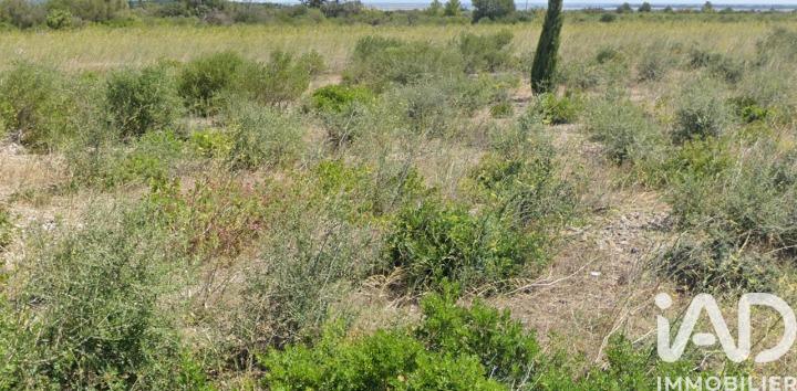 Terrain agricole - 3 510 m²