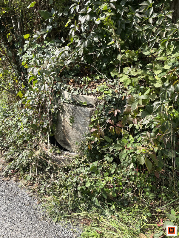 Maison ancienne - 60 m² - 4 pièces