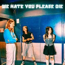 We Hate You Please Die