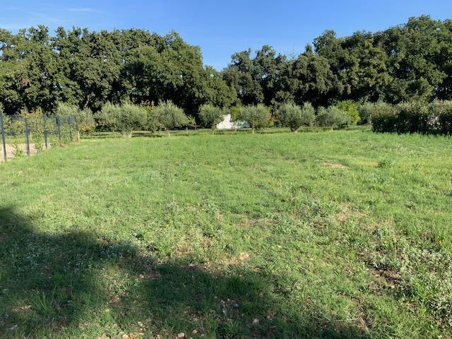 Terrain constructible - 900 m²