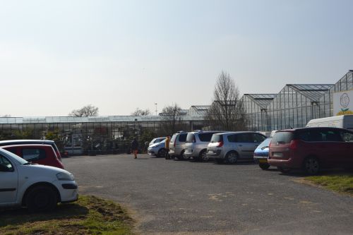 Pepiniere  Tijou-Cailleau