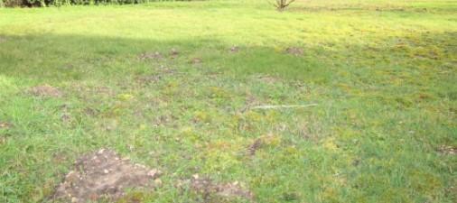 Terrain constructible - 408 m²