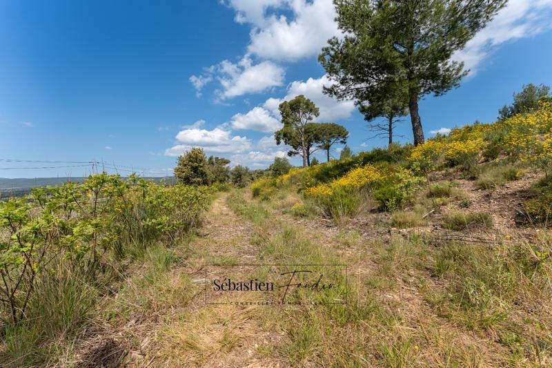 Terrain agricole - 7 720 m²