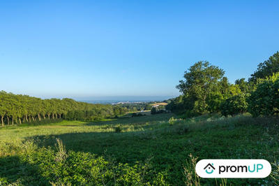 Terrain - 122 232 m²