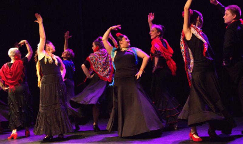Stage de Flamenco