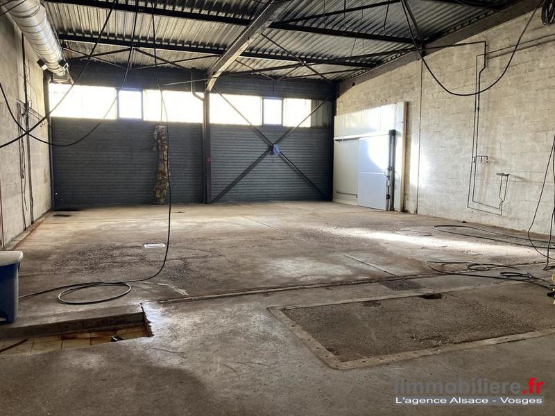 Local d'activité / Entrepôt - 600 m²