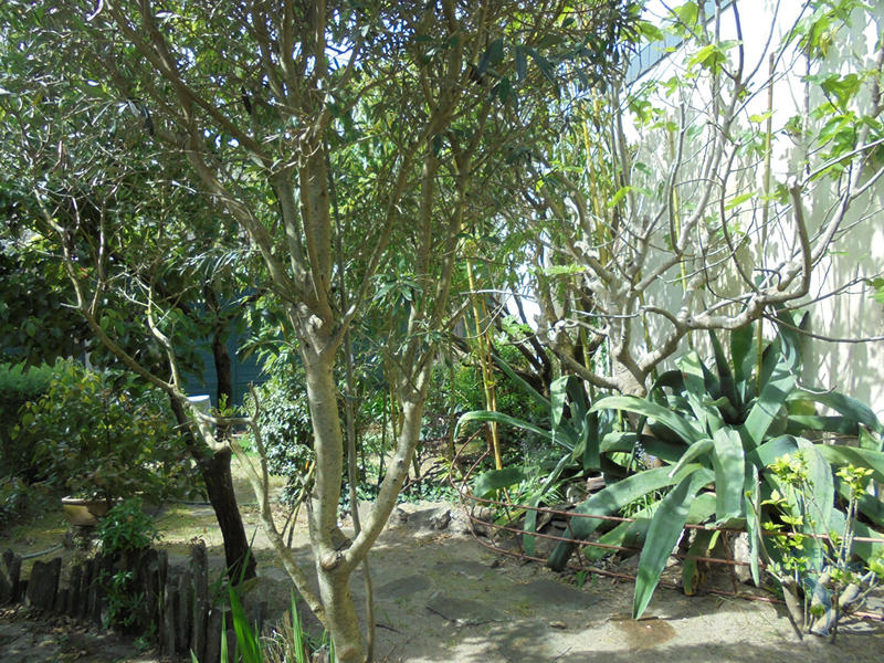 Maison - 175 m² - 7 pièces