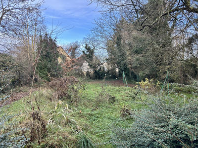 Terrain - 10 000 m²