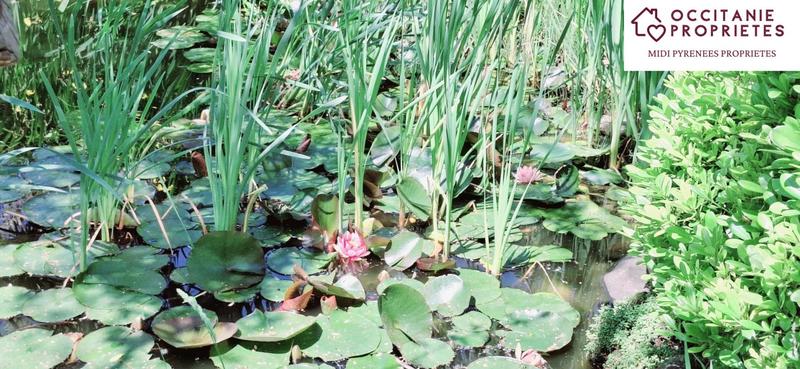 Propriété - 402 m² - 14 pièces