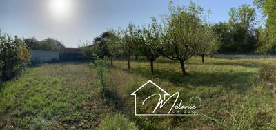 Terrain - 795 m²