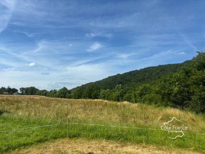 Maison - 75 m² - 5 pièces