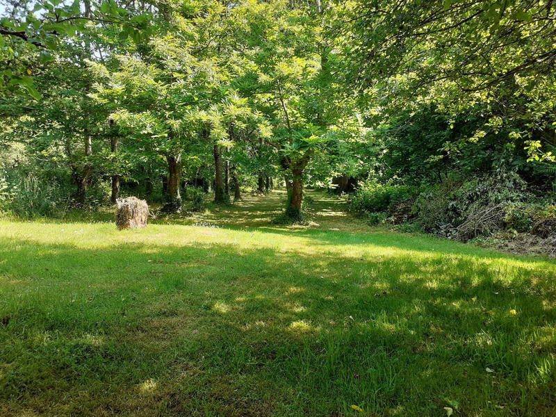 Maison - 124 m² - 4 pièces