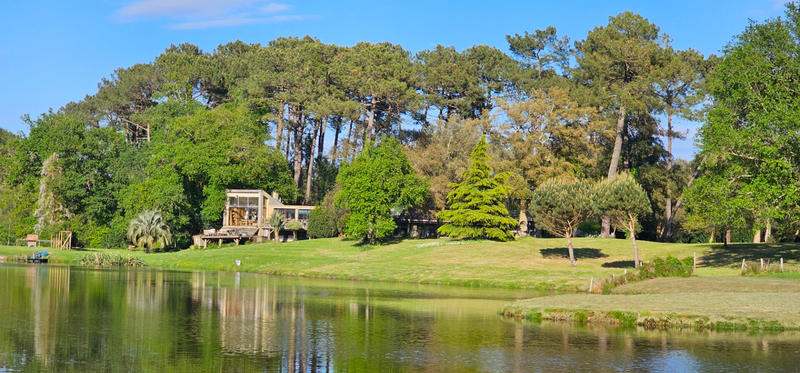 Demeure - 540 m² - 7 pièces