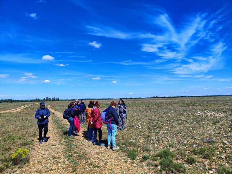 Visite de la Réserve des Coussouls de Crau