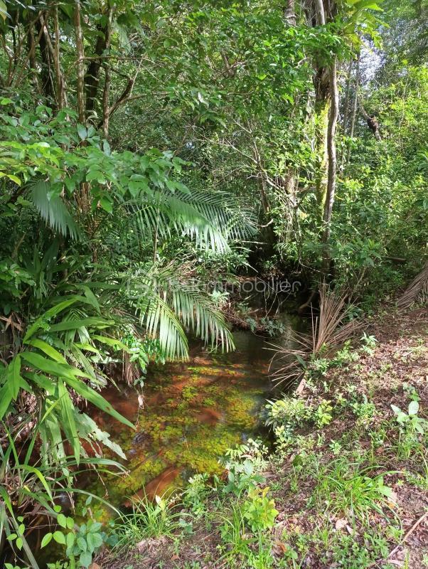 Maison de bois - 110 m² - 5 pièces
