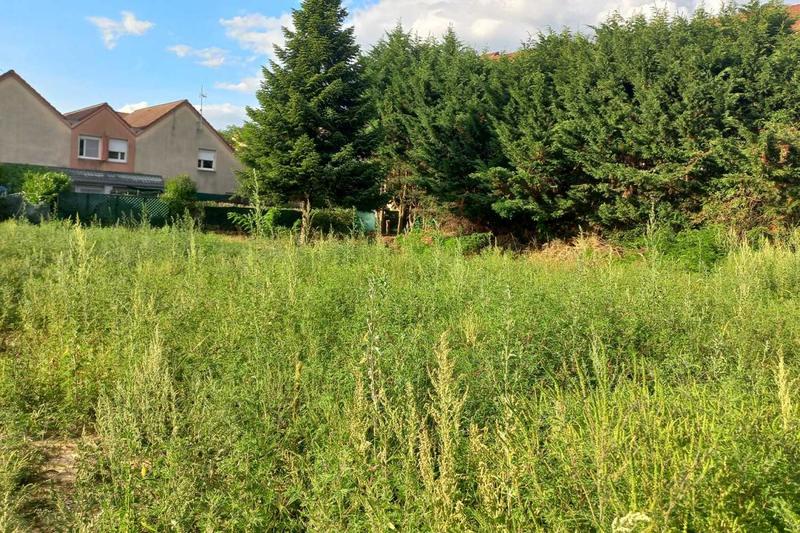Terrain constructible - 679 m²