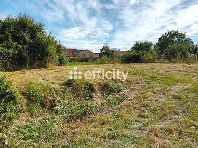 Terrain constructible - 649 m²