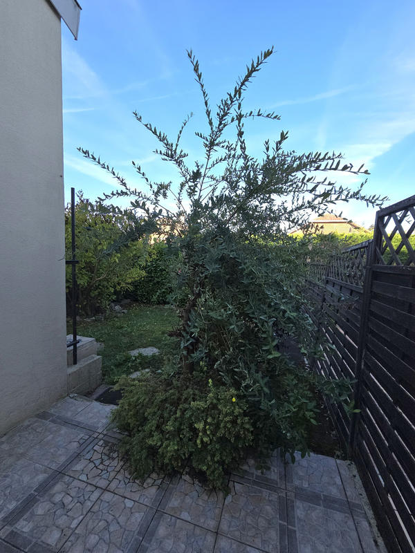 Maison - 82 m² - 4 pièces