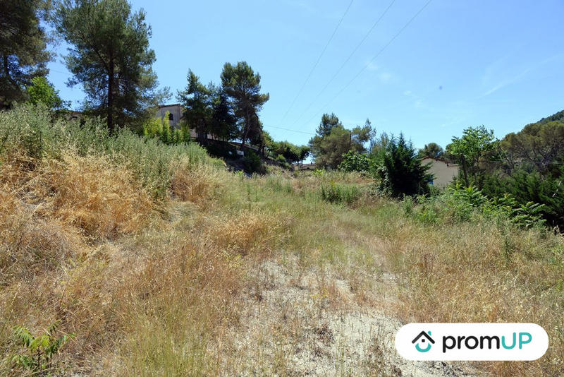 Terrain - 10 000 m²