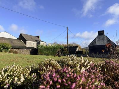 Maison ancienne - 73 m² - 2 pièces