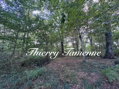 Terrain - 50 154 m²