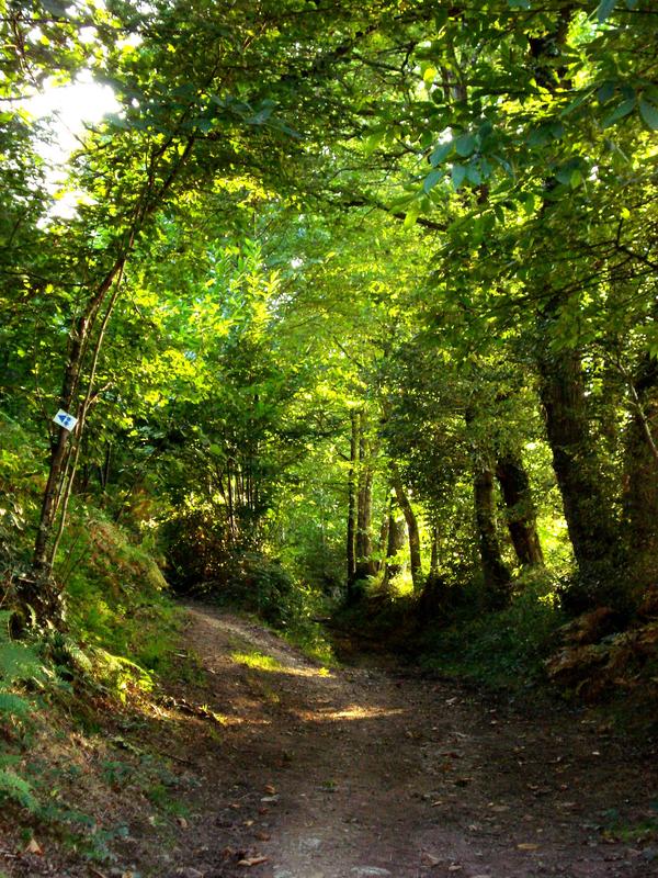 Balade Contée pour Enfants en Brocéliande