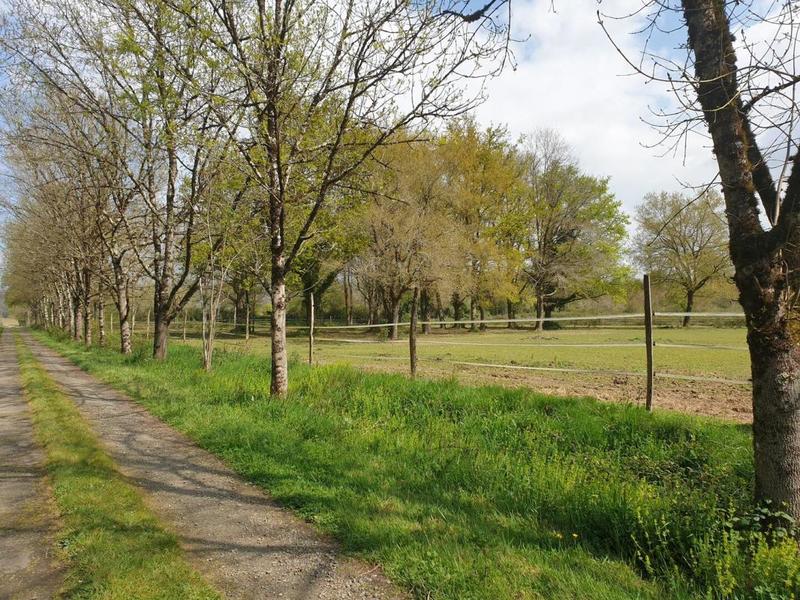 Maison - 380 m² - 12 pièces