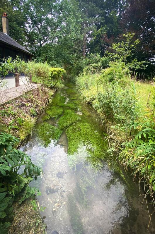 Maison - 264 m² - 14 pièces