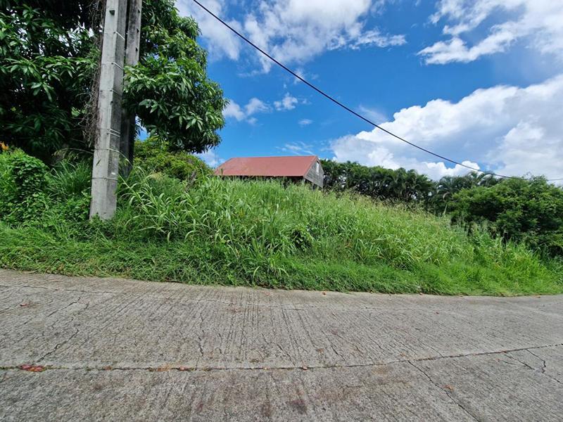 Terrain constructible - 1 215 m²