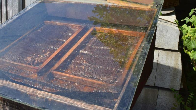 Visite du Rucher du Rollenberg