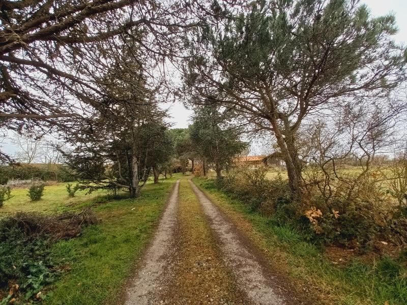 Maison - 318 m² - 8 pièces