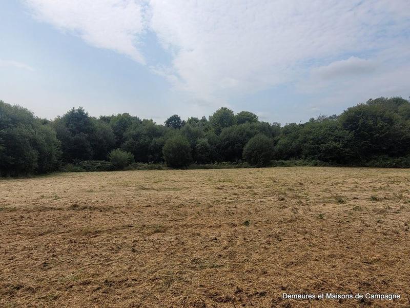 Maison ancienne - 40 m² - 1 pièce