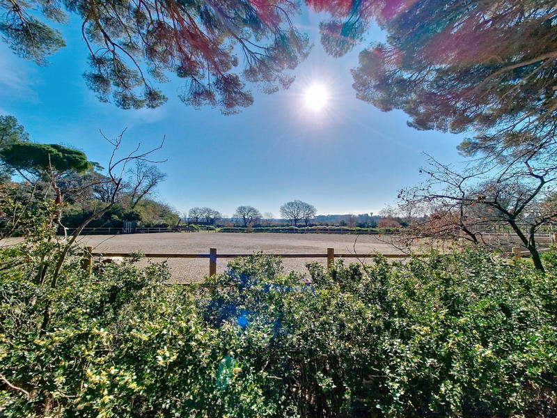 Château - 1 452 m² - 29 pièces