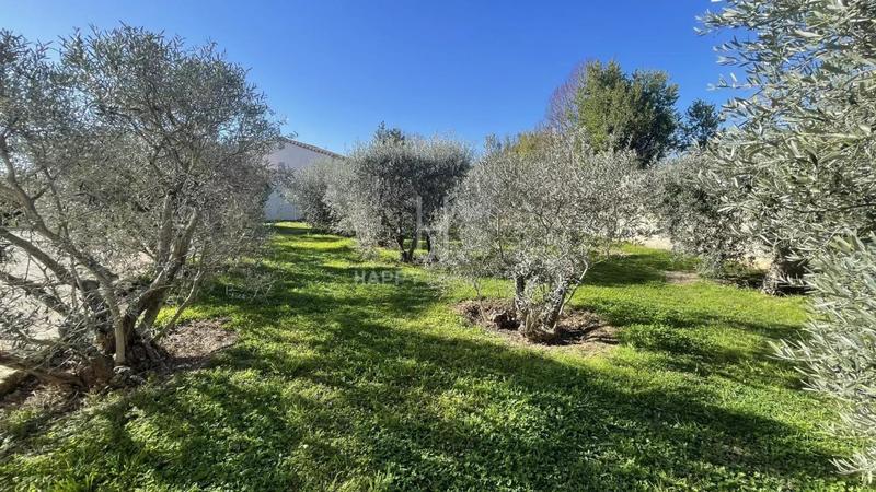 Mas - 195 m² - 9 pièces