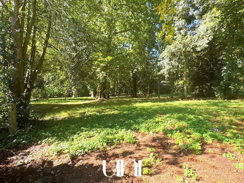 Château - 400 m² - 5 pièces