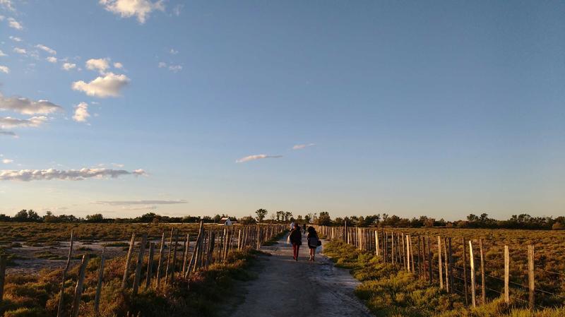 Visite guidée du sentier du Mas du Pont de Rousty