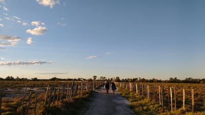 Visite guidée du sentier du Mas du Pont de Rousty
