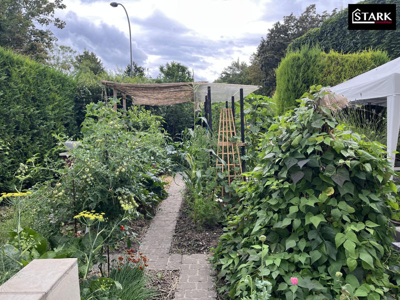 Viager - Maison ancienne - 96 m² - 4 pièces