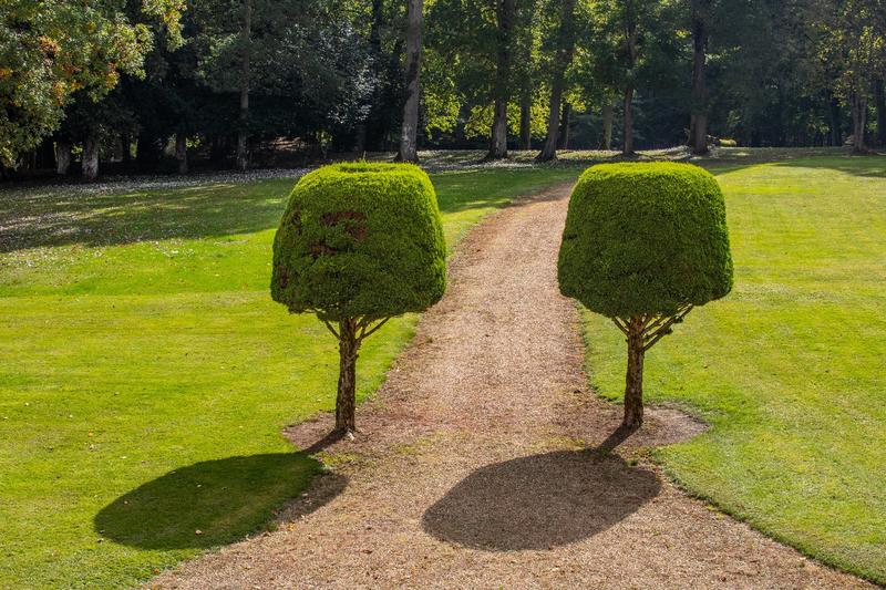 Maison de maîtres - 513 m² - 18 pièces