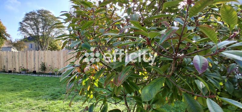 Maison - 343 m² - 11 pièces